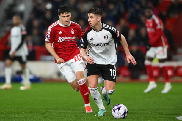 定表现回应 定表现回应