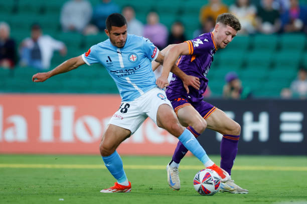 我们看到 我们看到